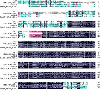 The Basic Helix-Loop-Helix Transcription Factor SmbHLH1 Represses Anthocyanin Biosynthesis in Eggplant